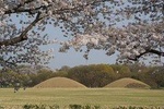 2 Days Gyeongju Private Tour from Seoul and Near Seoul