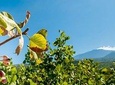 Etna tour and pistachio lunch - Sicily Hiking Tour
