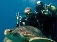 Try Scuba Diving in the South of Tenerife