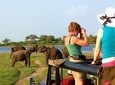 One Day Safari Tour to Both Yala and Udawalawe National Parks