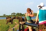 One Day Safari Tour to Both Yala and Udawalawe National Parks
