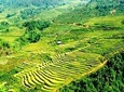 Authentic Sapa Homestay 2D1N Private Tour & Bus Transfer from Hanoi