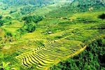 Authentic Sapa Homestay 2D1N Private Tour & Bus Transfer from Hanoi