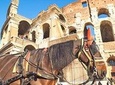 All-included Rome in a Day Tour with Vatican Sistine Chapel Colosseum & Pantheon