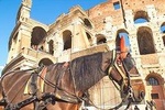 All-included Rome in a Day Tour with Vatican Sistine Chapel Colosseum & Pantheon
