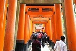 Kyoto Platinum Early Morning Tour