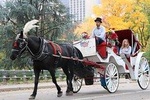 VIP Horse Carriage Ride through Central Park in NYC with Photo Stops