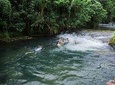 Skip the Line: Swim & Play - Rentapau River & Eden on the River Ticket