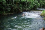 Skip the Line: Swim & Play - Rentapau River & Eden on the River Ticket