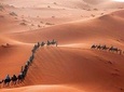 Merzouga desert, Toudgha & Dades Gorges,Ouarzazate Atlas mountaigns, 3 Days Tour