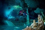 Half-Day Cenote Diving Adventure in Tulum for Certified Divers