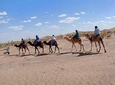 6 Days trekking aroud sahara desert start from Mhamid el ghizlane