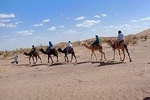 6 Days trekking aroud sahara desert start from Mhamid el ghizlane