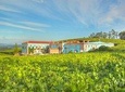 Albariño Private Wine Tour from Santiago de Compostela
