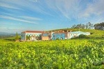 Albariño Private Wine Tour from Santiago de Compostela