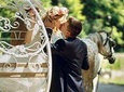 Romantic Central Park Horse-Drawn Carriage Tour