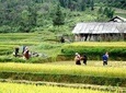 Sapa Trekking Group Tour By Bus 2 Days 1 Night (overnight In Hotel)