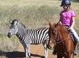 Horseback Safari Tour