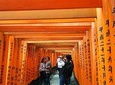 Kyoto Early Bird Tour