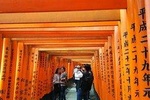 Kyoto Early Bird Tour