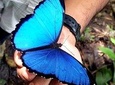 Ecuadorian Treasures Bucket List Tour