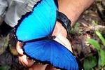 Ecuadorian Treasures Bucket List Tour
