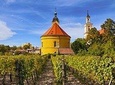 Wine Tasting in Modra from Bratislava, Slovakia