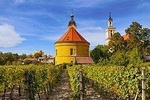 Wine Tasting in Modra from Bratislava, Slovakia