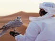 Arabian Desert Experience In Dubai 