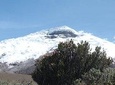 Cotopaxi Volcano (PRIVATE Day Trip from Quito)
