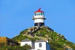 Full Day Cape Peninsula Scenic Tour 