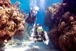 Beginner Scuba Diving Tour ***NO EXPERIENCE NEEDED***
