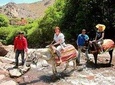 Best Full-Day Cultural Trip to the Atlas Mountains from Marrakech