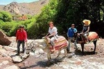 Best Full-Day Cultural Trip to the Atlas Mountains from Marrakech