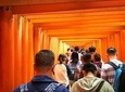 Kyoto Early Bird Wheelchair User Tour