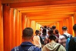 Kyoto Early Bird Wheelchair User Tour