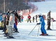[Private Tour] Nami Island & Ski (Ski Lesson, Equip & Clothing Included)