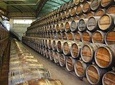 Private Special Tour Around Lisbon and Wine Tasting