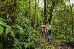 Ecuador Cloud Forest 5 Days Hiking Tour 