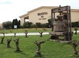 Off road experience at the roads of wine 