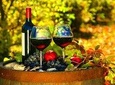 Plesivica Region Wine Tasting Half-day Private Tour 