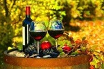 Plesivica Region Wine Tasting Half-day Private Tour 
