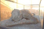 Rome to Pompeii Private Guided Tour with Hotel Pick-up & Skip the Line Tickets 