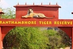 8 Days: Delhi Agra Jaipur Ranthambore tour(Golden Triangle Tour & Ranthambore)