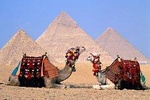 Half-day Tour to Pyramids & Sphinx