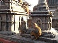 Sightseeing Day Tour In Kathmandu