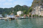 Hanoi - Catba 1 Day Trip