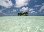 Visit Gladden Spit and Silk Cayes Marine Reserve, Belize