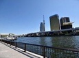 Starter tour in Tokyo _Visiting must-see spots and practical guidance