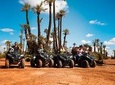  Half Day Camel Ride and Quad Biking with fresh mint Tea